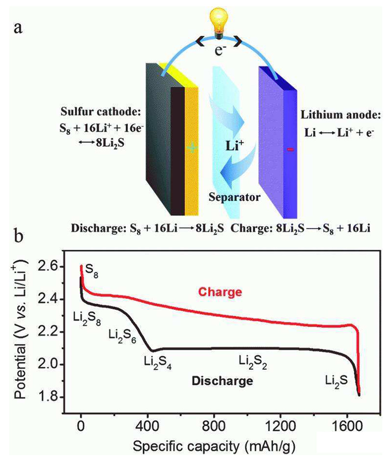 The principle of lithium sulfur battery