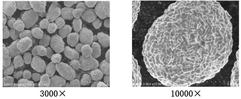 SEM Pictures for NCMA Battery Cathode Material