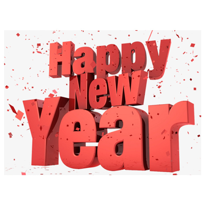 Company 2025 Spring Festival holiday notice
