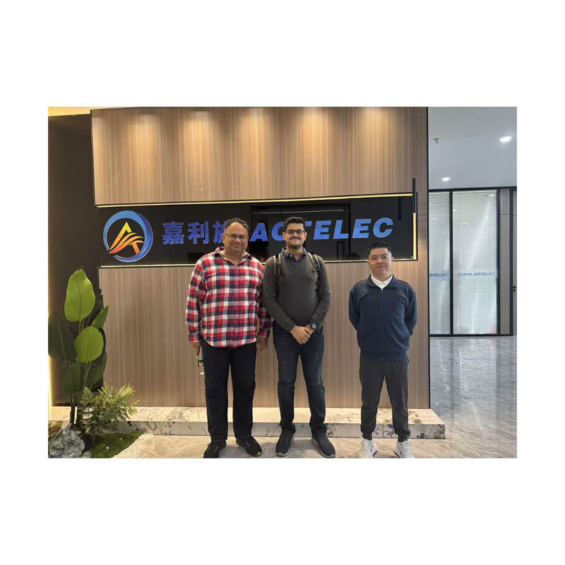India customer visit